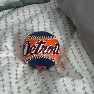 Detroit Tiger Baseball